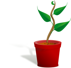 conservar relaciones