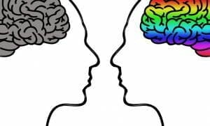 diferencia entre el cerebro masculino y femenino