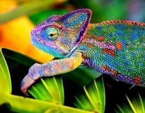 estar disponible para el otro