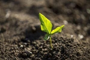 taking care of the relationship