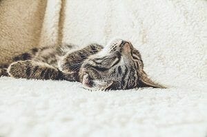 dificultades de sueño